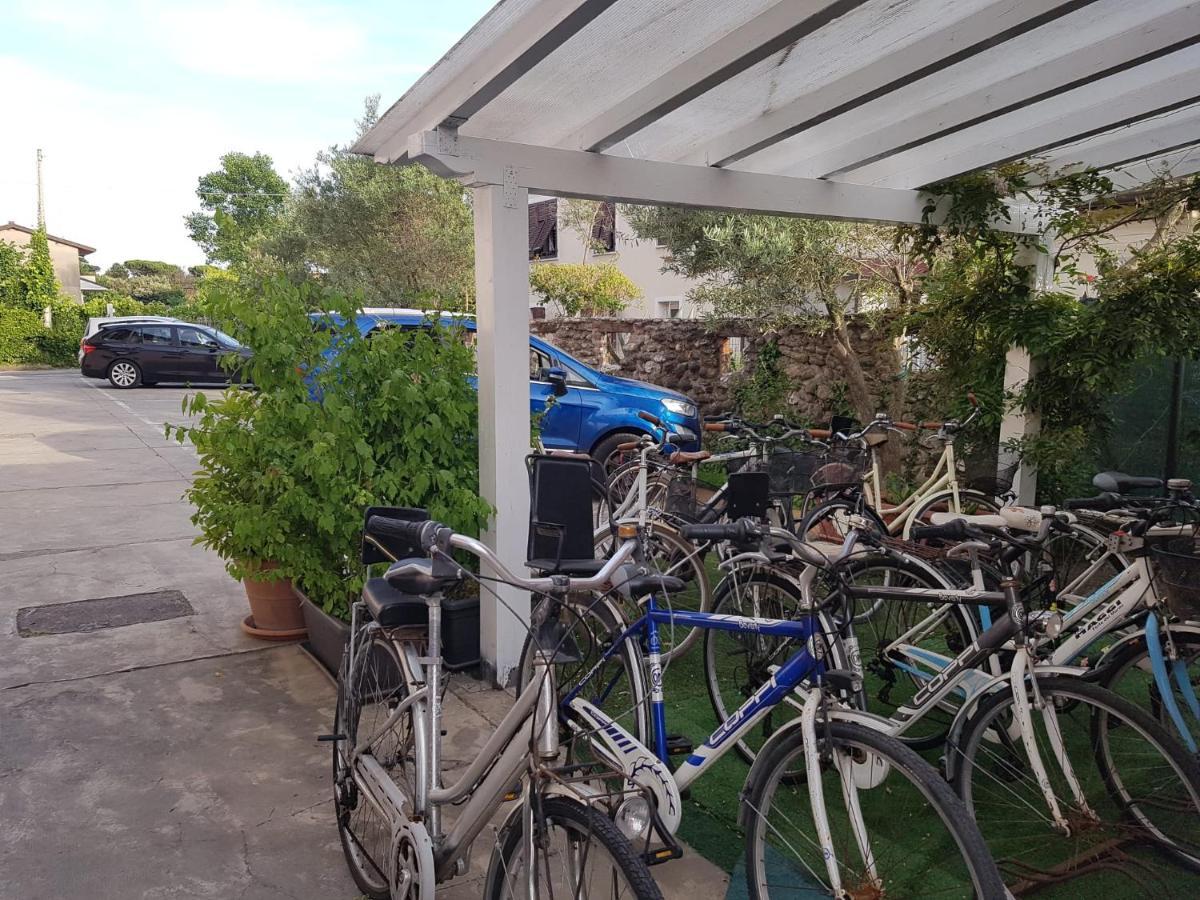 מרינה די מסה Hotel Patrizia מראה חיצוני תמונה